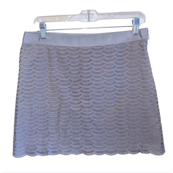 J. Crew Fan Eyelet Mini Skirt Slate Grey 6 Fairy Officecore Career Datenight - Picture 3 of 9